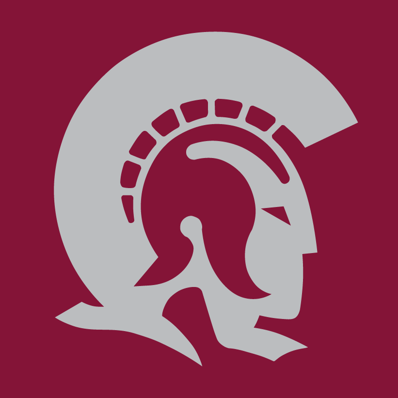 Arkansas-Little Rock Trojans 1997-Pres Alternate Logo v4 diy fabric transfer